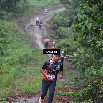 Runner Photo 8361928