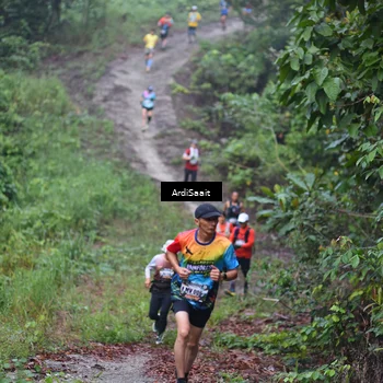 Runner Photo 8361950
