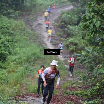 Runner Photo 8361958