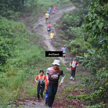 Runner Photo 8361967