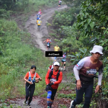Runner Photo 8361986