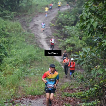 Runner Photo 8361993