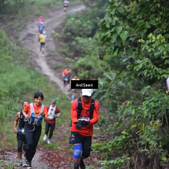 Runner Photo 8362021