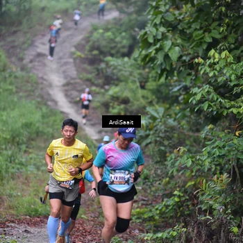 Runner Photo 8362060