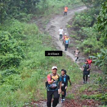 Runner Photo 8363219