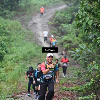 Runner Photo 8363255