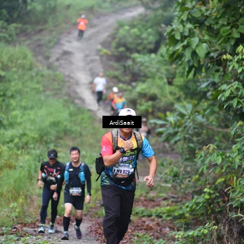 Runner Photo 8363269