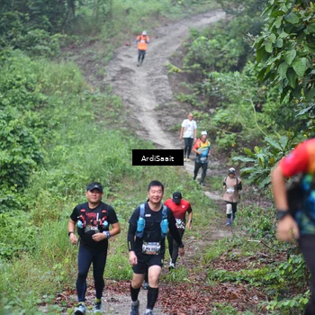 Runner Photo 8363285