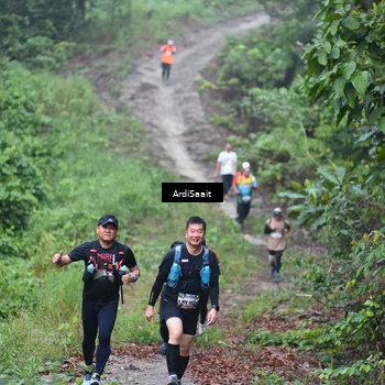 Runner Photo 8363297
