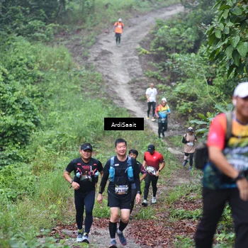 Runner Photo 8363393