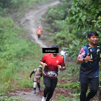 Runner Photo 8363441