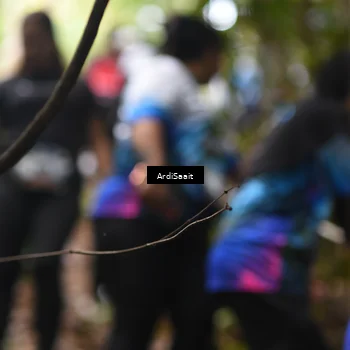 Runner Photo 8364533