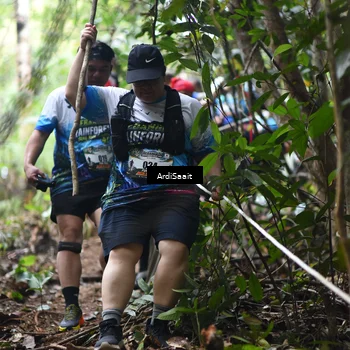 Runner Photo 8364617
