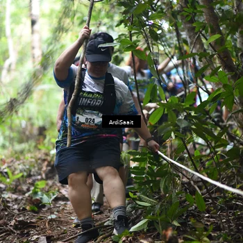 Runner Photo 8364623
