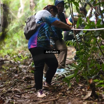 Runner Photo 8364674