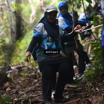 Runner Photo 8365148