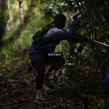 Runner Photo 8365511