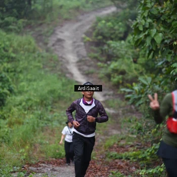 Runner Photo 8365745