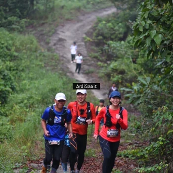 Runner Photo 8365844