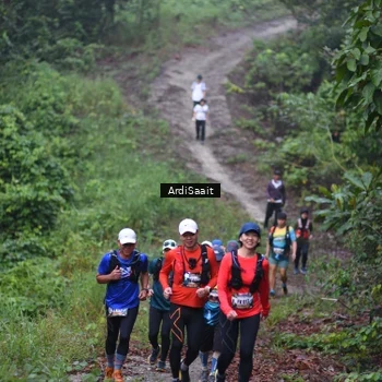 Runner Photo 8365874