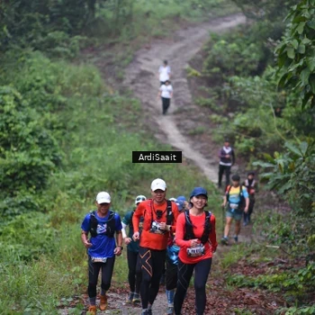 Runner Photo 8365876