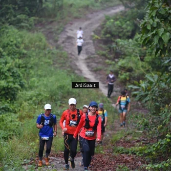 Runner Photo 8365882