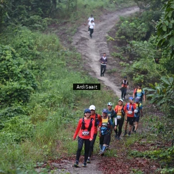 Runner Photo 8365891