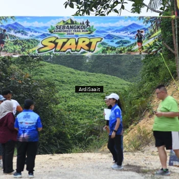 Runner Photo 8368297