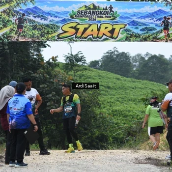 Runner Photo 8368357