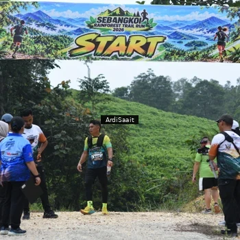 Runner Photo 8368371