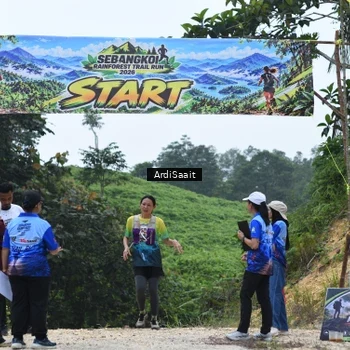 Runner Photo 8368375