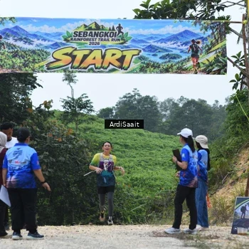 Runner Photo 8368381
