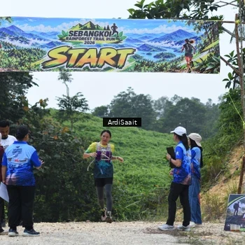 Runner Photo 8368387