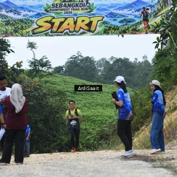 Runner Photo 8368407
