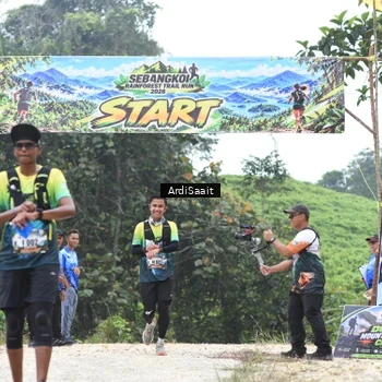 Runner Photo 8368611