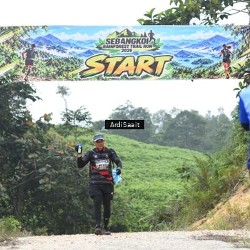 Runner Photo 8368764