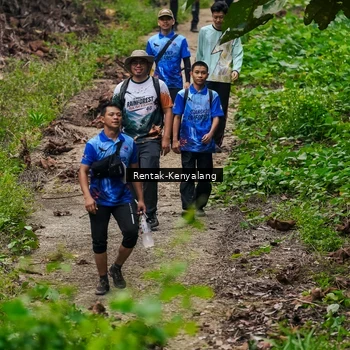 Runner Photo 8375363