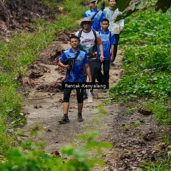 Runner Photo 8375379