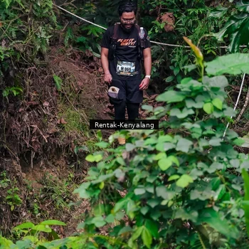 Runner Photo 8375501