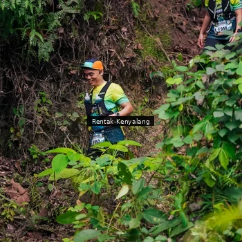 Runner Photo 8375591