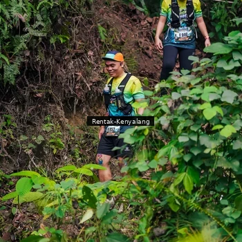 Runner Photo 8375604