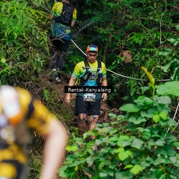 Runner Photo 8375613