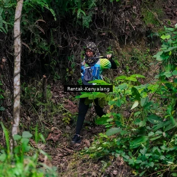 Runner Photo 8375640