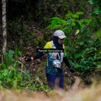 Runner Photo 8375649