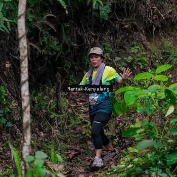 Runner Photo 8375700