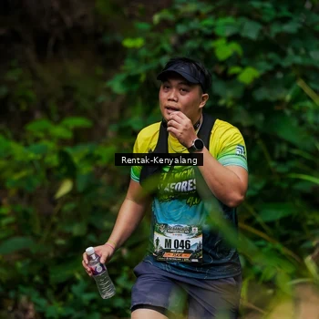 Runner Photo 8375723