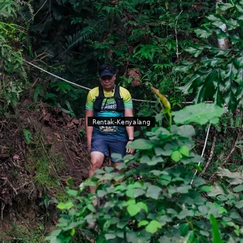 Runner Photo 8375733