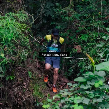 Runner Photo 8375749