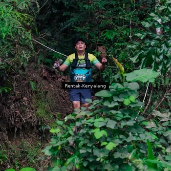 Runner Photo 8375750