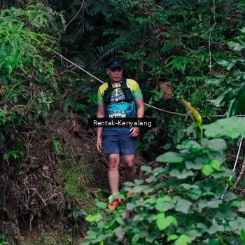 Runner Photo 8375753
